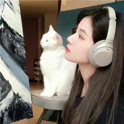 糟了，陛下竟然想摆烂